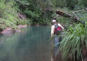 Tim fishing a jungle stream in Hawaii
