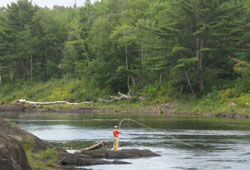 Tim fly fishing off a rocky point in a big river with no-one else in sight