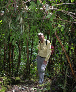 Tim Holschlag on a narrow trail through the jungle