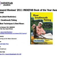2011 INDIEFAB Award