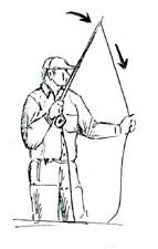 Illustration of doing the haul for smallmouth bass--step 5