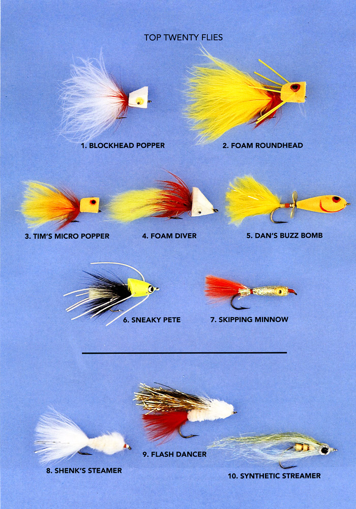 Bass Popper - Bass Fly, Smallmouth Bass Fly, a GREAT fly pattern