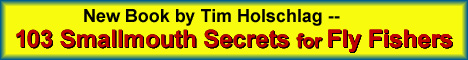 New book "103 Secrets" -  by Tim Holschlag